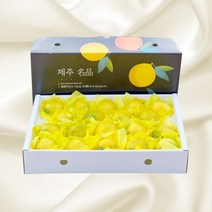 제주 산지직송 특산품 고당도 황금향 선물세트 명절 추석 설 선물, 5kg 대과 (10~15과 내외)