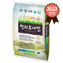 참쌀닷컴 2022년산 김화농협 철원오대쌀 20kg, 1포