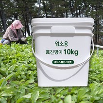 명이나물10kg 업소용 명이나물장아찌 대용량반찬, 10kg 업소용 1통, 10kg