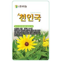 산국화 6000립 - 야생화 씨앗 꽃씨 씨 꽃씨앗 산국화씨앗 산국화씨 다년생 여러해살이 야생화씨앗 꽃 들국화, 36_다농_천인국(60립)