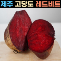 (하루30박스한정) 제주 고당도 레드비트 최상품 3kg 5kg 7kg 겨울 햇비트, 제주 고당도 레드비트 5kg