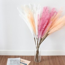 핑크뮬리 조화 팜파스 핑크 꽃 갈대 3color 플라워 감성, 퍼플
