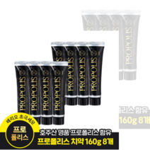 페리오 프로폴리스 치약 160G * 6개+2개 (8개), 6세트