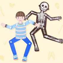 하다니 미술샘 관절 인형, 합포장