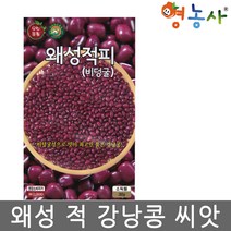 왜성적피 강낭콩씨앗 30g, 왜성적피강낭콩씨앗