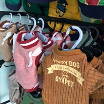 애견 행거 옷걸이 플라스틱 스몰 사이즈 귀여운 미니 옷걸이 고양이 강아지 통용 프리사이즈, 라이트 그레이, 20