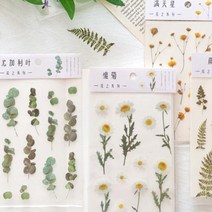 빈티지 압화 플라워 감성 데코스티커 6type [다꾸 식물 나뭇잎 꽃 다이어리 꾸미기 데이지 용품], 유칼립투스