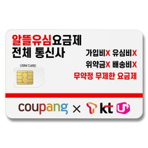 전체 알뜰폰통신사 알뜰요금제 SK LG KT 저렴한 무약정 요금제