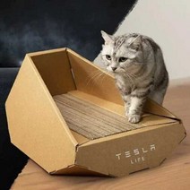 테슬라 사이버트럭 고양이 스크래쳐 tesla, 테슬라 사이버트럭 조립식 고양이 스크래쳐하우스
