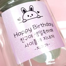 네임코코 주문제작 네임스티커 생일 돌답례품 메세지 스티커, 54MS-정사각9색펄(생일)