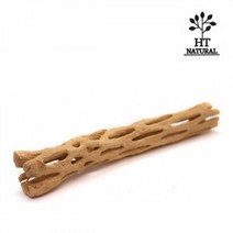 바보사랑 세틀 프리미엄 초야우드 선인장 유목 L 20cm.수이사쿠