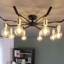 에보니 8등 인테리어 LED 직부조명 천장조명 거실등 방등 포인트 카페조명