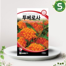 솔림텃밭몰 투베로사씨앗 100립 다년생 투베로사 꽃씨앗 종자, 단품