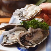 통영 횟감용 생굴 석화 굴 하프셀 석화구이 석굴 1kg 3kg 5kg 10kg 가리비 손질 횟감 용 1박스 사이즈 김장 찜용, 2-1. 하프셀 1단
