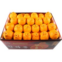 농장직송 고당도 한라봉 3kg 5kg 10kg 꼬마한라봉, 1박스, 꼬마한라봉 10kg 중과