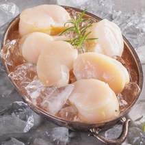 오씨네수산 장흥 키조개 생물 통관자, 1개, 생물 통관자 500g(3-4인분)