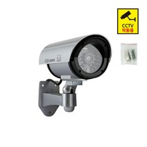 나비 신형타입 실내외용 원형 모형 CCTV 카메라, NV48-CCT20
