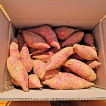 황토 호박고구마 5kg 태안 해풍 맞고 자란, 5kg(특상), 1개
