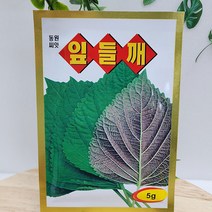 (샤인 몰) 잎들깨씨앗 종자 5g 1개 /동원씨앗/ 광엽에 향기가 진하며 맛이 좋은 품종
