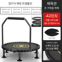 트램폴린 키즈 홈 실내 성인 체육관 문지르는 침대 운동 슬리밍 장치, 업그레이드 42인치  보호 커버 - 이중 팔걸이 - 포