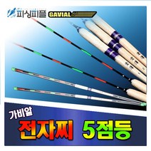 피싱피플 가비알 5점등 민물전자찌 내림찌 중층찌 붕어찌 민물, 1호