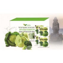 제주브로컬리와양배추진액30포2, 단품, 단품