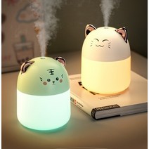 자연 기화식 가습기 필터형 화산 가열식 필터기 미니 천연 250ml, B