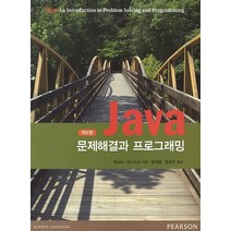 Java 문제해결과 프로그래밍, Pearson