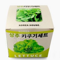 에포트구스 상추 키우기 식물키우기키트