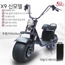 할리 전기 자동차 2 륜 자전거 성인 이동성 큰 타이어 와이드 배터리 전동 스쿠터, 5. X9 60km 착탈식 배터, 60V