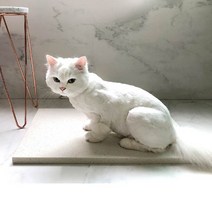 고양이더위 강아지대리석쿨매트 대형견 여름나기 돌침대 애견대리석 반려견, 강아지대리석 그레이 S사이즈 (400*400*20mm)