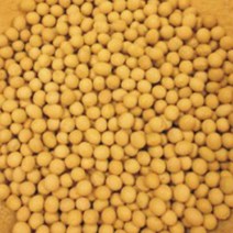 메주콩 곡물 종자 품종 정원 원예 식물 씨앗 30g 종묘사 _ 22092786EA, 쿠팡 3번샵 본상품선택