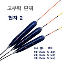 고부력단찌 현자 2 - 산란철 저수심대 공략용 (4칸대 이상 장대사용가능), 1호 25cm 부력 4.3g