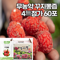 무농약 꾸지뽕즙 구지뽕 엑기스 진액 나무열매 차 아스파라긴산 플라보노이드 100ml60포, 1개, 기본