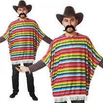 와일드 웨스트 멕시코 산적 레인보우 판초 망 사슴 파티 재미 멋진 드레스 의상