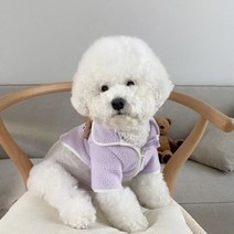 개 까마귀 코트 강아지 작은 개 의상 복장 의류 요크셔 테리어 pomeranian shih tzu 몰타 강아지 의류 애완 동물 의류, 보라, 에스