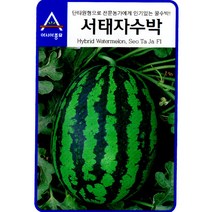 서태자 수박 씨앗 과일 종자 채소 야채 씨 판매 30알