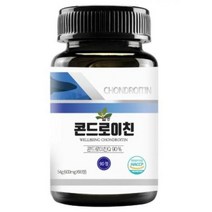 콘드로이친 90정