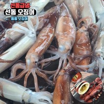 원양 선동 오징어 냉동 통 오징어 통찜 숙회 통오징어찜, 2kg, 1개