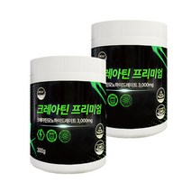 웰리즈 크레아틴 프리미엄 300g 모노하이드레이트 헬스보충제, 2개(4개월분) 600g