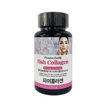 일본직배송 프리미엄 저분자 콜라겐 태블릿 500mgx90정 더 미용