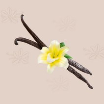 유몬 16cm UP 바닐라빈 버번 파푸아뉴기니산, 1팩, 50g