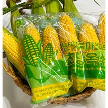 [농가에서 직접 손질!] 2023 무주 반딧불 초당옥수수 12cm이상 손질형 20개입