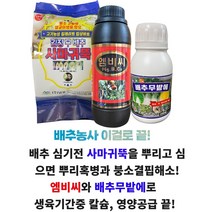 배추영양제 세트 사마귀뚝 엠비씨 배추무밭에 텃밭 붕소 칼슘 결핍 무사마귀병 뿌리혹병