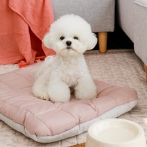 아망떼펫 털안붙는 알러지케어 애견방석 M L, L시티그레이