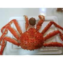 동해발송 선어자숙 킹크랩 수율80%, 1개, 자숙3kg