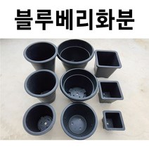블루베리화분 5개 화분 고무화분 대형화분 큰화분 금강산업