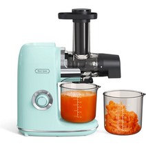 독일 브랜드 착즙기 녹즙기 쥬서기 원액기 가정용 Hazel Quinn Slow Juicer 디자인 민트 그린, 기본