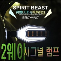 스피릿비스트 2웨이 윙카 방향지시등 깜빡이등 램프, (선택1번)화이트
