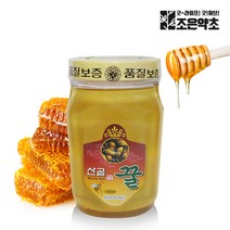 조은약초 홍천 벌꿀, 1200g, 1개